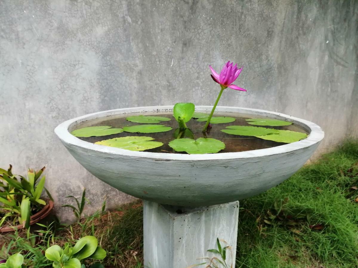 Orchid Villa #10 Hikkaduwa Dış mekan fotoğraf