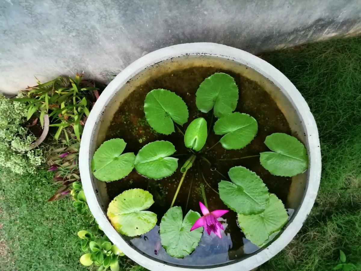 Orchid Villa #10 Hikkaduwa Dış mekan fotoğraf
