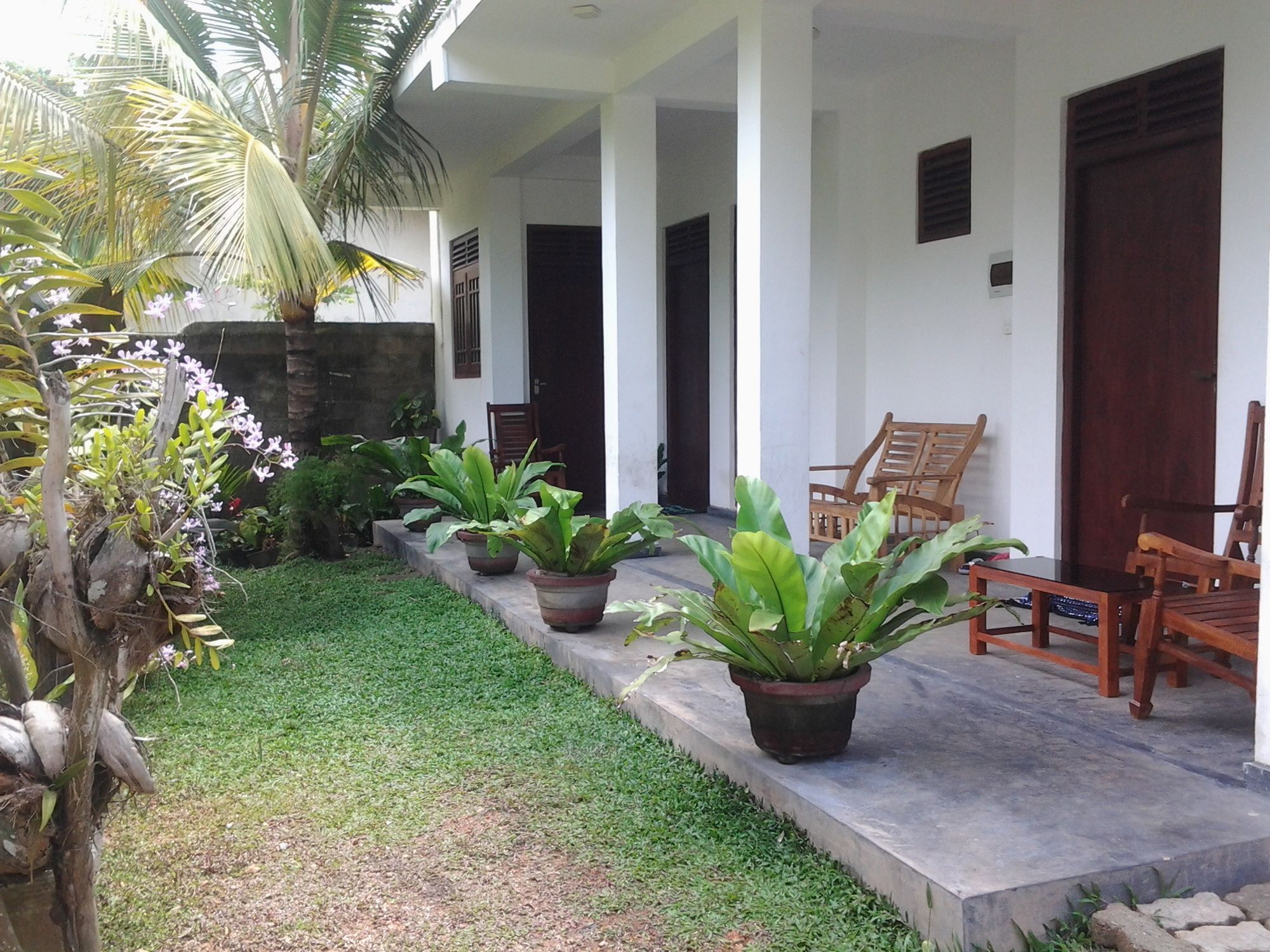 Orchid Villa #10 Hikkaduwa Dış mekan fotoğraf